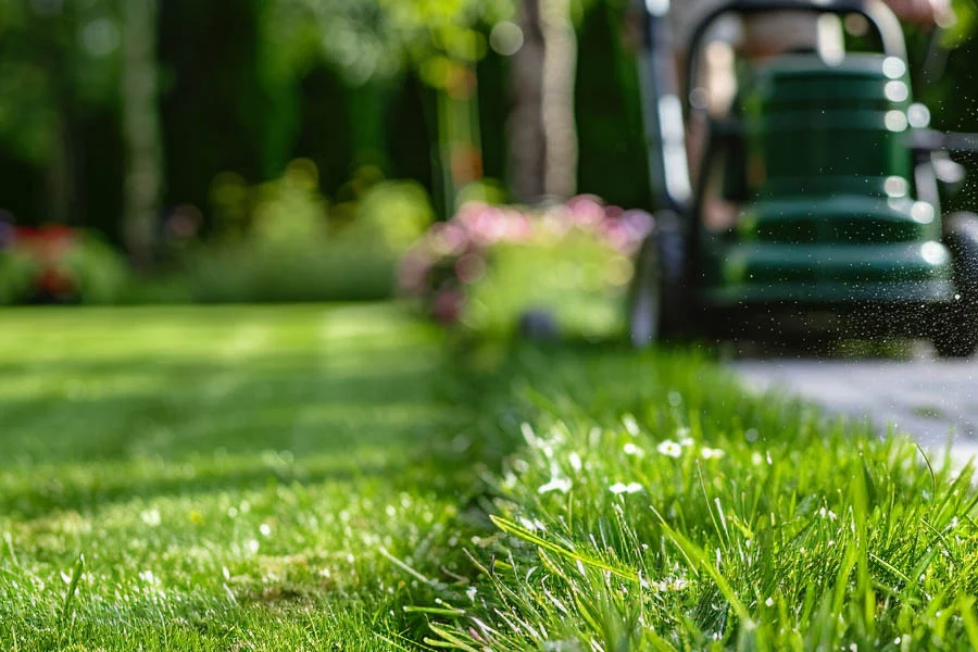 bauer lawn mower
